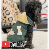 썸네일(스크롤)